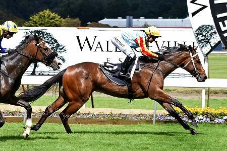 Tennessee wins Listed Wellesley Stakes (RaceImages Palmerston North)